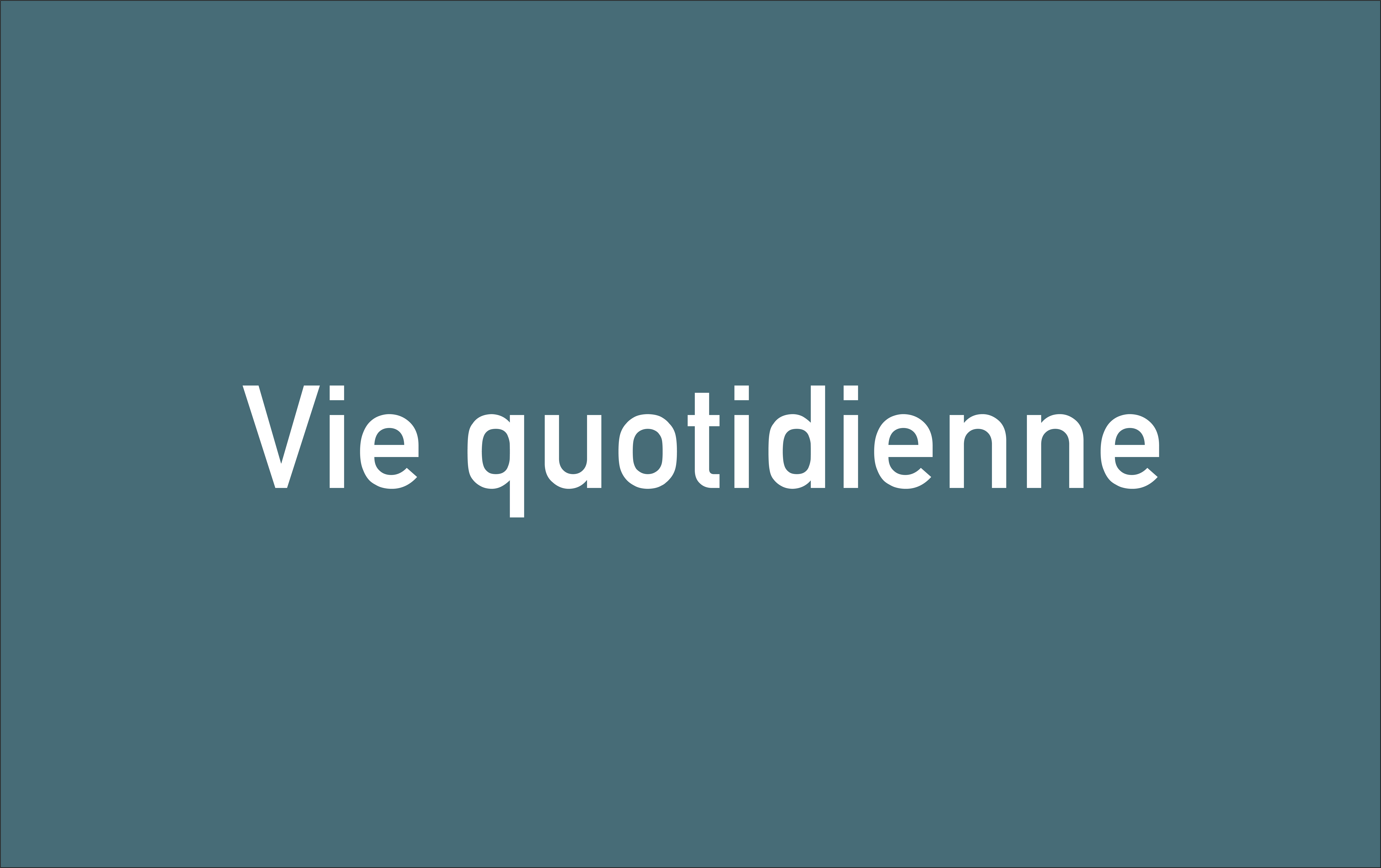 vie quotidienne